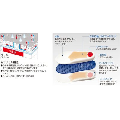 画像2: ソルボウォーキング